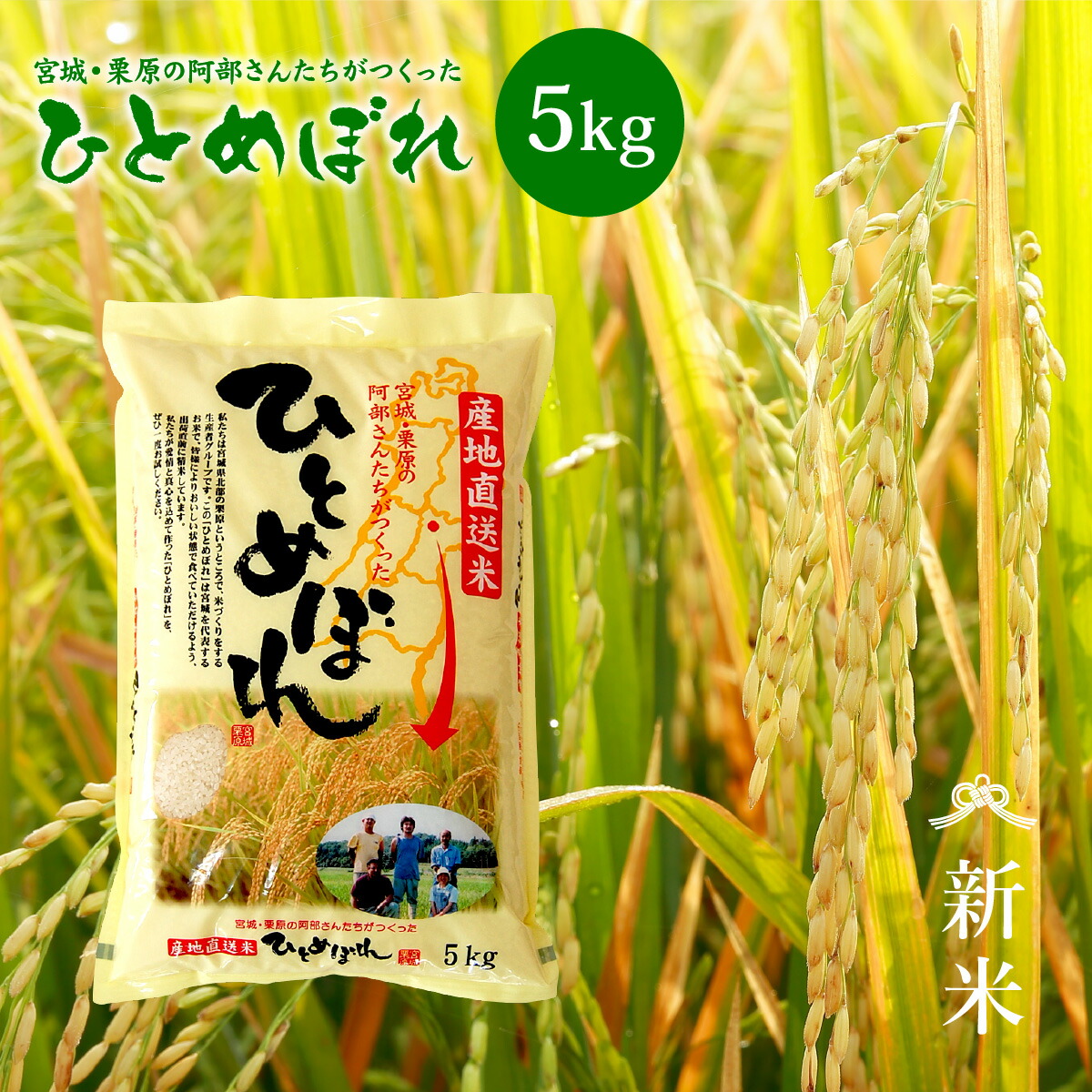 楽天市場】【新米】令和7年産 宮城県産ひとめぼれ 5kg おいしい