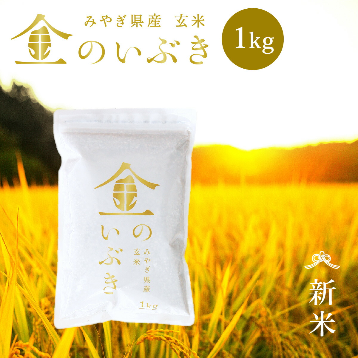 楽天市場】新米 【簡易包装】 金のいぶき 玄米 3kg 送料無料 高機能