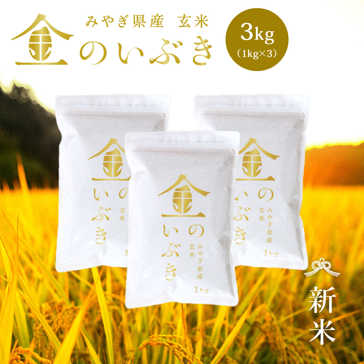 【草笛さん用】金のいぶき 令和6年度産 令和6年産在庫限り！ 金のいぶき玄米5kg～農薬・化学肥料不使用：宮城