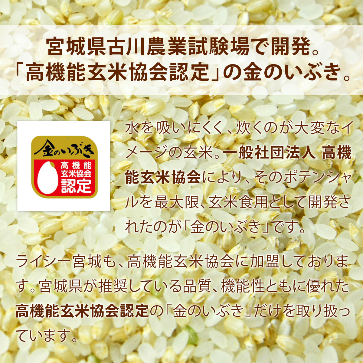 新米金のいぶき玄米5kg送料無料あす楽高機能玄米協会認定宮城県産令和5年産高性能玄米《5kg（1kg×5袋）》真空圧縮パック宮城県水稲奨励品種宮城県玄米国内産米ブランド米