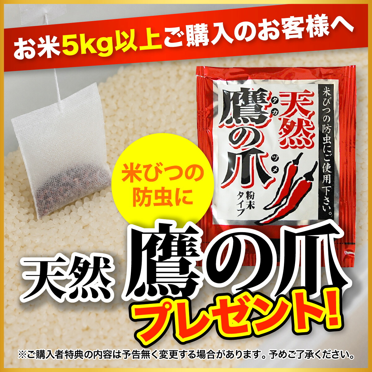 つや姫 米 5kg 令和7年産 送料無料 宮城県産 《5kg》 白米 お米 5kg 米