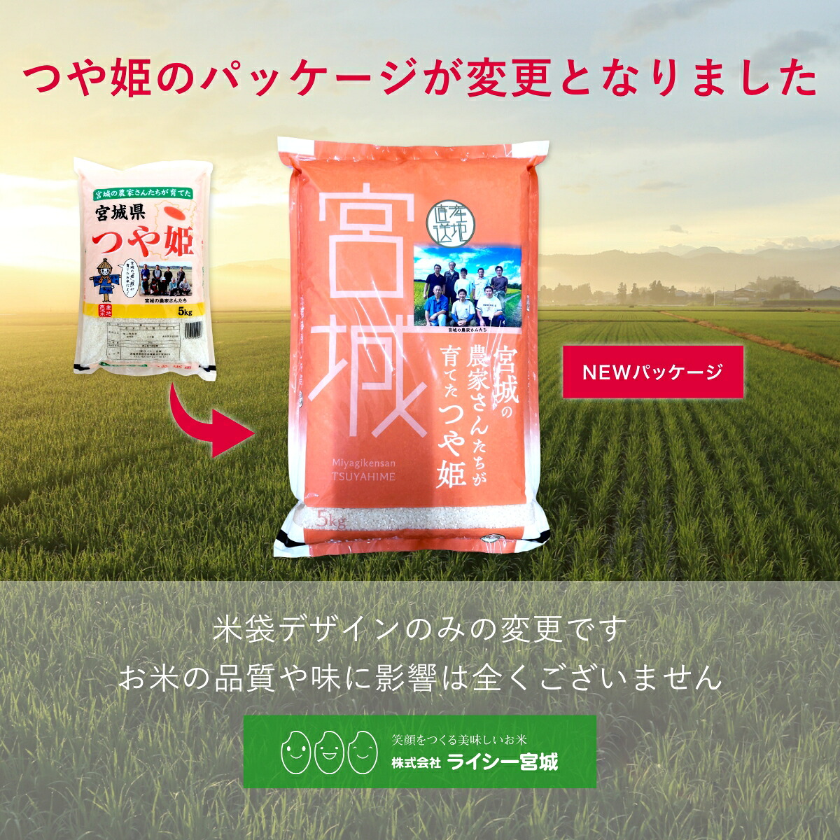 つや姫 米 5kg 令和7年産 送料無料 宮城県産 《5kg》 白米 お米 5kg 米