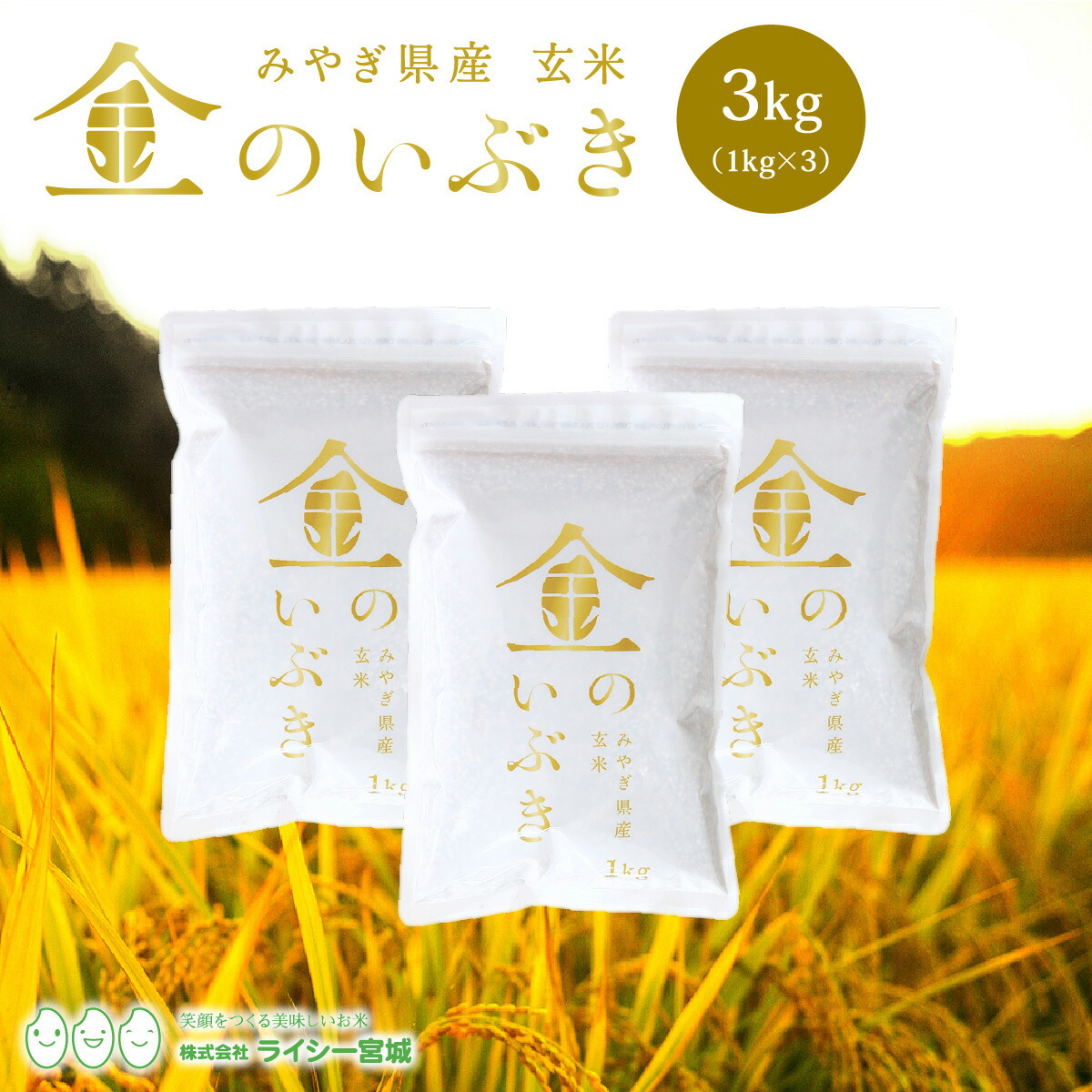 即購入　玄米 玄米保冷庫 玄米・野菜モード切替タイプ 10．5俵用（30kg