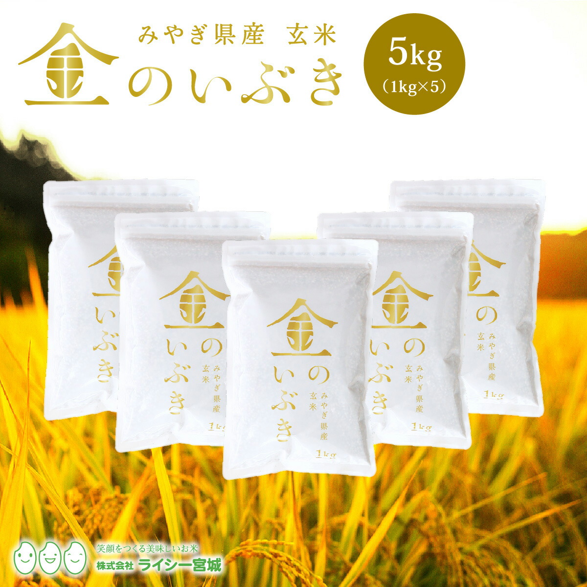 金のいぶき 玄米 5kg 送料無料 高機能玄米協会認定 宮城県産 令和6年産 高性能玄米 《5kg（1kg × 5袋）》 真空圧縮パック 宮城県水稲奨励品種 宮城県 玄米 国内産米 ブランド米