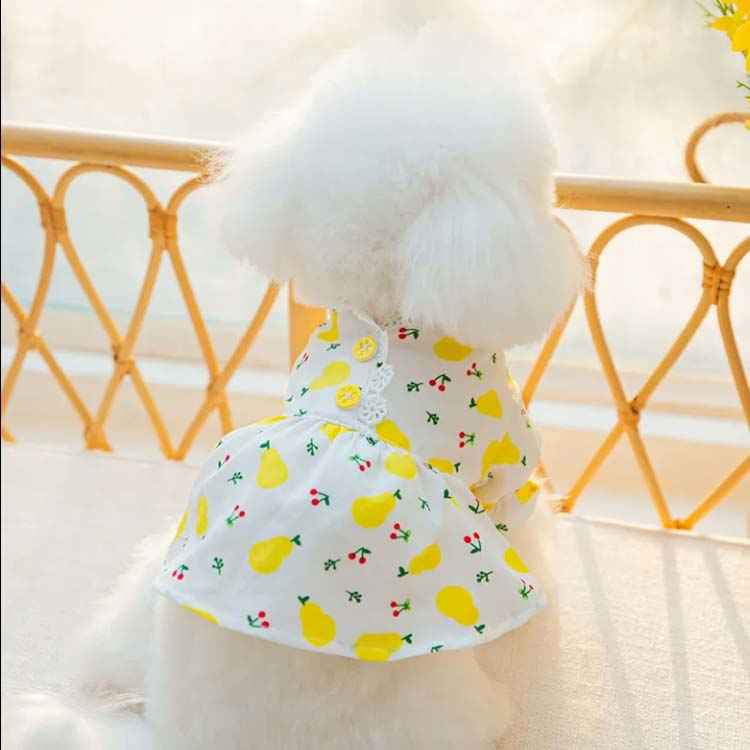 Mro5e2fpskx3zm Mro5e2fpskx3zm