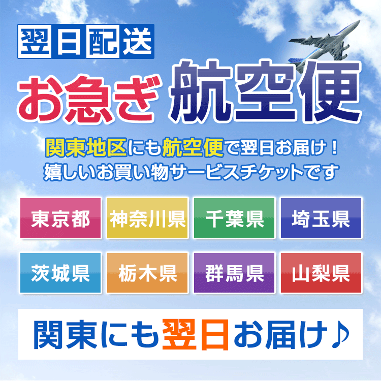 クーポン対象外 ワンピーススーツ 関東でお急ぎの方に 東京 神奈川 千葉 埼玉 茨城 栃木 群馬 山梨に翌日お届け お急ぎ航空便チケット