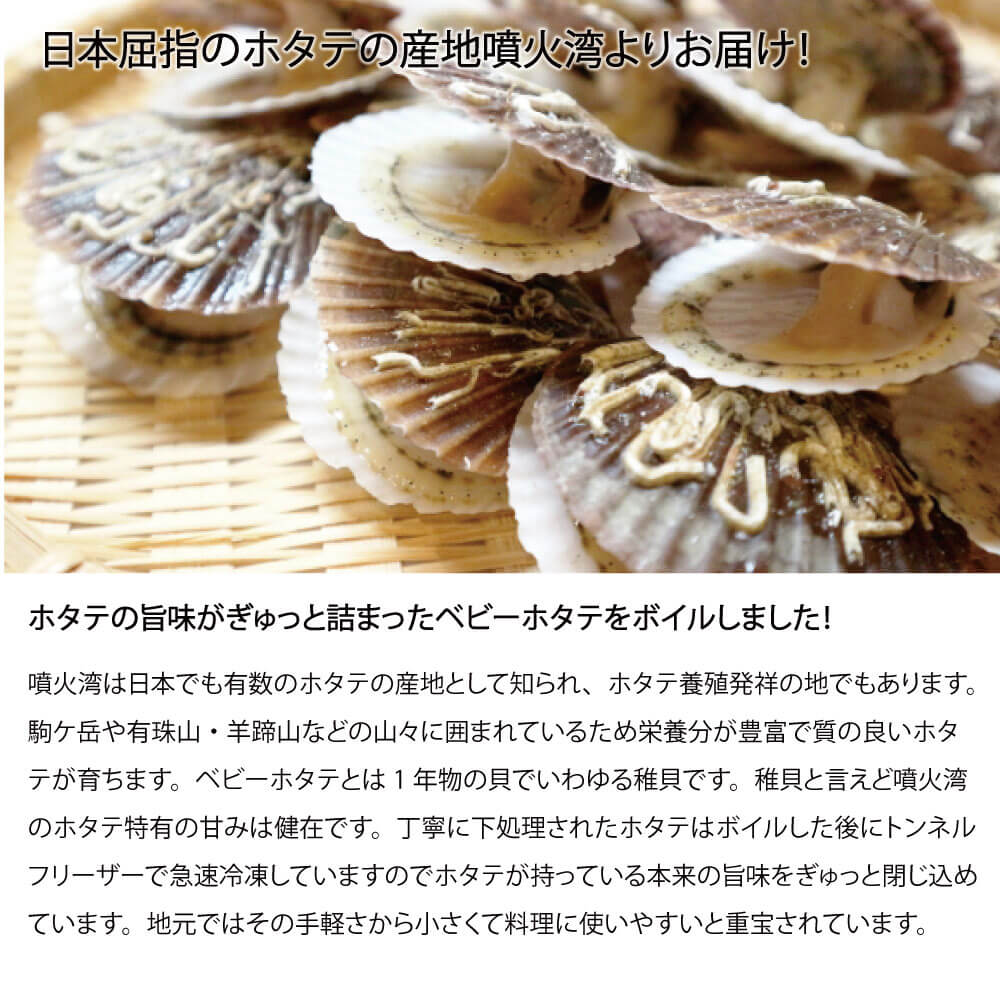お歳暮 貝類 ベビーホタテ 北海道 ボイル 小分け 10kg 100 150粒 Kg 噴火湾 噴火湾 小分け ホタテ 稚貝 帆立 ほたて 冷凍 森町 森水産加工業協同組合 送料無料 南北海道の生産者直送店 道南地元旨味がぎゅっと詰まった噴火湾産ボイルベビーほたて お歳暮 貝類 ベビーホタテ 北海道 ボイル 小分け 10kg 100 150粒 Kg 噴火湾 噴火湾 小分け ホタテ 稚貝 帆立 ほたて 冷凍 森町 森水産加工業協同組合 送料無料 南北海道の生産者直送店 道南地元旨味がぎゅっと詰まった噴火湾産ボイルベビーほたて