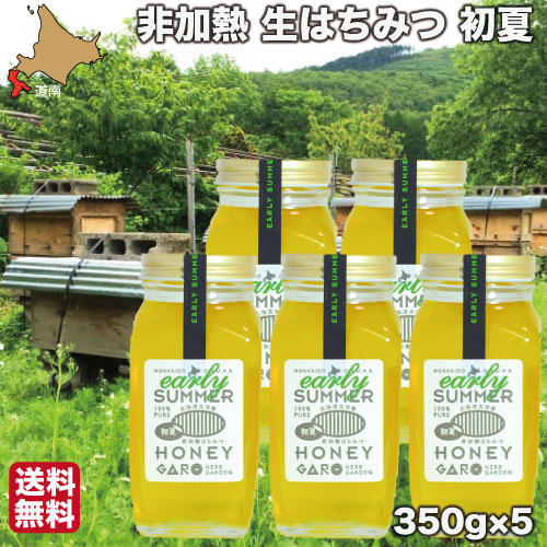【P+2倍 4日20:00-10日1:59迄】 はちみつ 非加熱 国産 生蜂蜜 初夏 350g×5 純粋 ハチミツ 北海道 お歳暮 ギフト 大沼ガロハーブガーデン