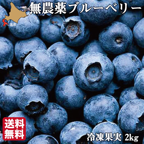 【楽天市場】無農薬 冷凍 ブルーベリー 3kg (1kg×3袋) 4種ブレンド