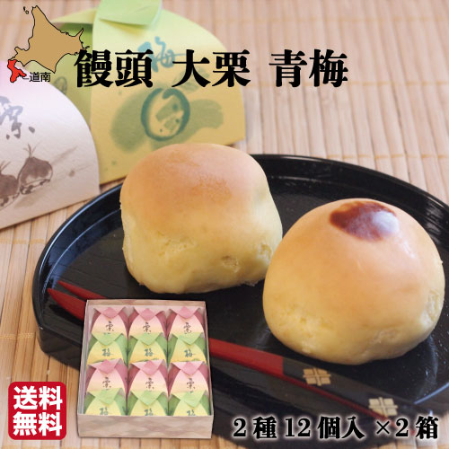 市場 饅頭 菓々子 各6 北海道 函館 2箱 和菓子 青梅 大栗 かかし 12個