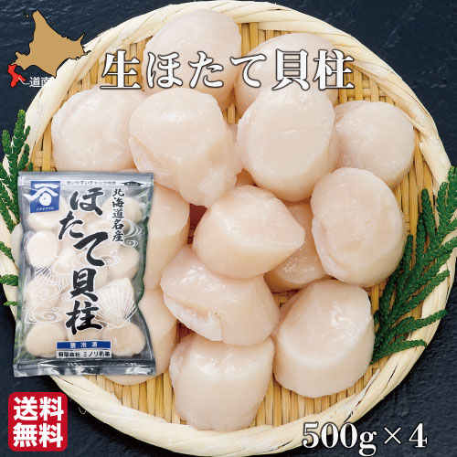 北海道 ホタテ 貝柱 生 刺身 2kg(500g×4袋) 噴火湾 大粒 肉厚 冷凍 ほたて 生産者直送 産地直送 八雲町 長谷川水産 ミノリ商事