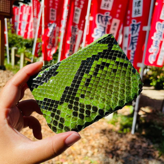 2025年蛇年に金運上昇蛇財布！🐍あなたを幸せにする開運の財布　開運緑の錦蛇（本物）小銭入れ