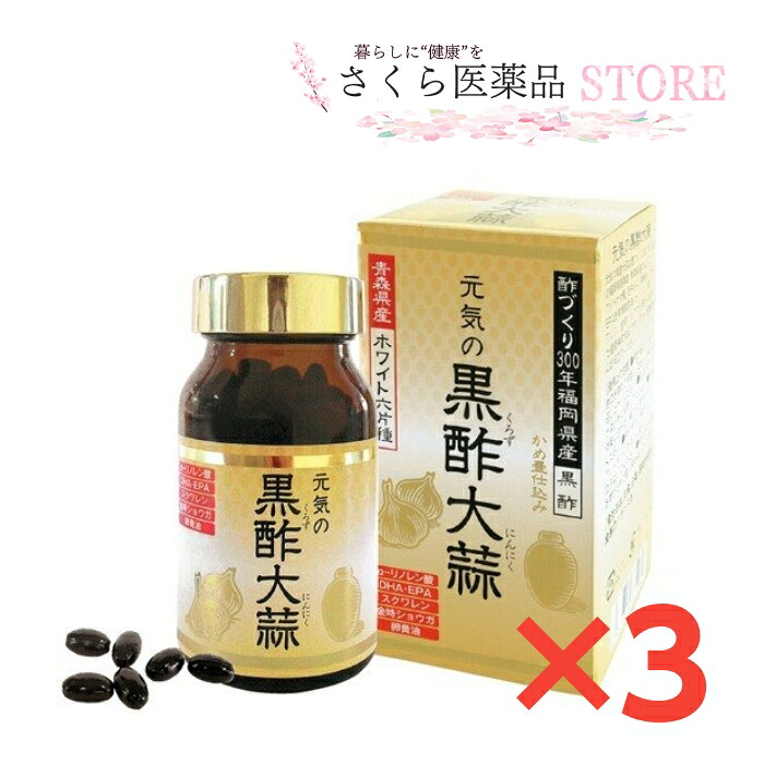 黒酢 くろずにんにく 黄身油 金時しょうが  サプリ甲斐甲斐しいの黒酢大蒜 3個書き割り