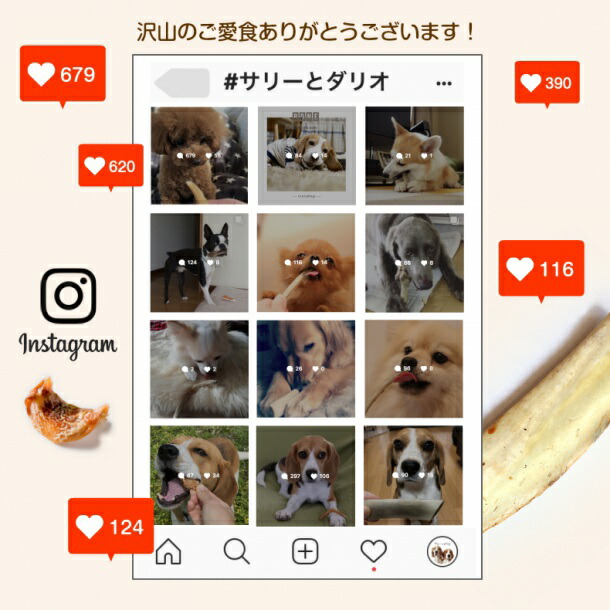 土日5 クーポン配布中 ドッグフード おやつ 犬 1kg アレルギー おやつ 無添加 国産 豚タン軟骨 1kg ジャーキー アレルギー コンドロイチン 関節 毛艶 歯磨き ハミガキ 歯石 歯が弱い 小型犬 中型犬 大型犬 シニア 老犬 業務用 多頭飼い 送料無料 犬の幸せ サリーと