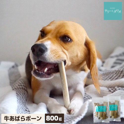 楽天市場 犬 おやつ 無添加 国産 牛あばらボーン 800g 400 2袋 アレルギー 歯石除去 口臭 ストレス発散 グレインフリー 硬い 骨 長持ち あばら骨 リブ ガム ドッグフード 小型犬 中型犬 大型犬 多頭飼い 業務用 サリダリ 送料無料 犬の幸せ サリーとダリオ