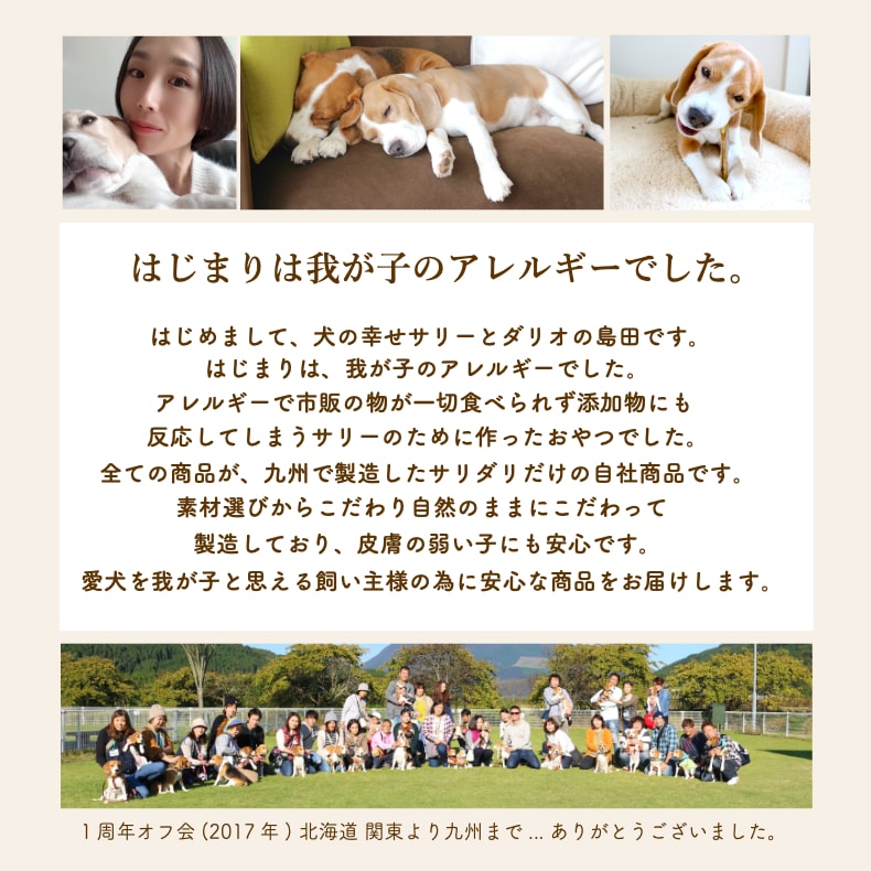 ドッグフード 犬 おやつ 無添加 国産 豚耳 1kg 詰め合わせ アレルギー 歯石除去 歯磨き ハミガキ 口臭 グレインフリー 硬い 大きい ぶたみみ ガム 小型犬 中型犬 大型犬 多頭飼い 業務用 サリダリ 送料無料 父の日 Schwimmbad Delphine De