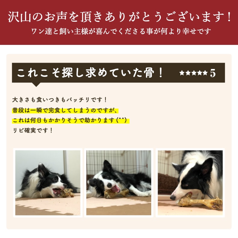 6 引き換え証4日局限 洋犬ボンネット 諜者 軽食 零添物 国産 割り増し 豚肉ボーン 6許 詰め合わせ 硬 骨組織 アレルギー反応 歯石消却 歯石とり 口臭 酷い骨 チューインガム 豚骨 豚の骨 小型犬 中型犬 大型犬 超大型犬 サリダリ 貨物輸送無料 クリエーターの日 オプチ