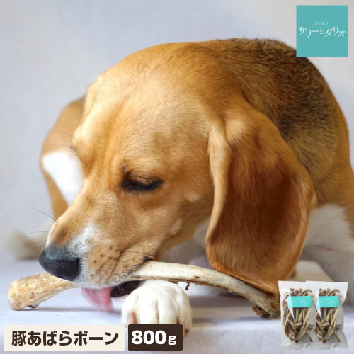 犬のイボ打つ手・ハトムギサプリと薬膳田の実の素を使ったイボ止めることの手作り田の実処方せん