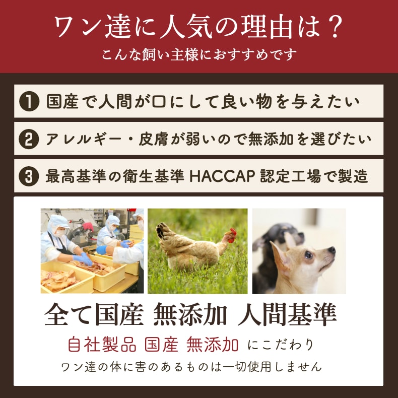 犬 歯石取り 1 2本 70g おやつ お買い物マラソン オヤツ サリダリ ストレス発散 リブボーン 中型犬 口臭 国産 大型犬 小型犬 歯石除去 歯磨きガム 無添加 牛あばらボーン １着でも送料無料 オヤツ