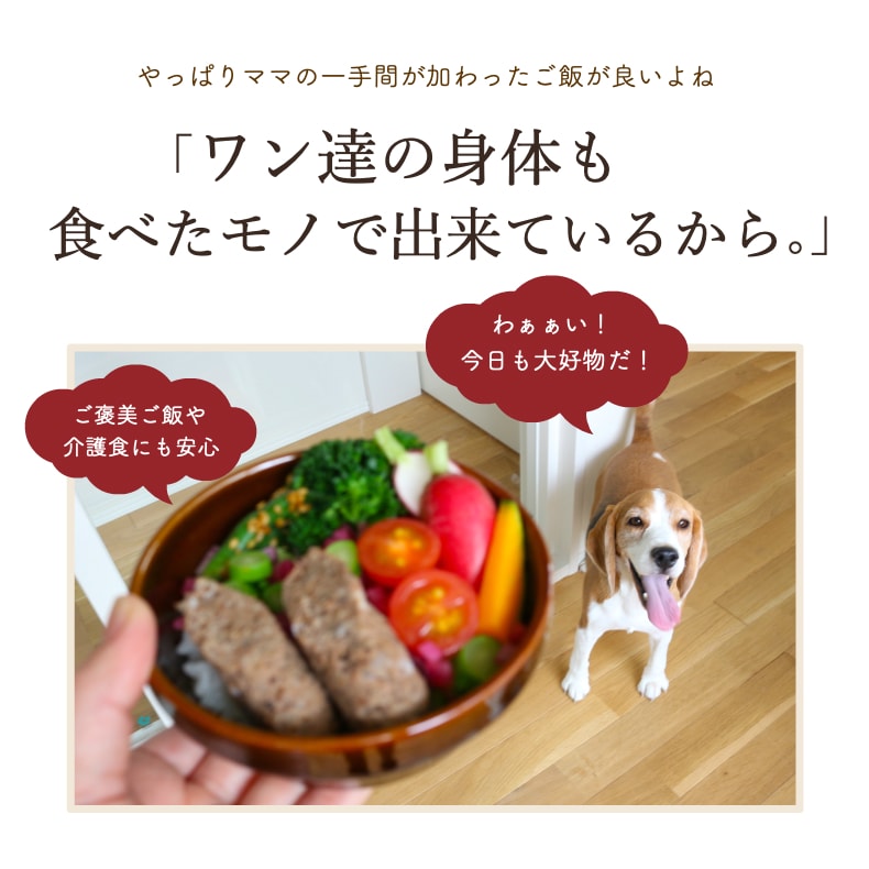 ドッグフード アレルギー 無添加 シニア 送料無料 お買い物マラソン 犬用 30袋 手作りご飯 犬 サリダリ ソーセージ 小型犬 牛 おやつ えごま トッピング ウェットフード Epa レトルト レバー グルテンフリー Dha 介護食 老犬 中型犬 国産