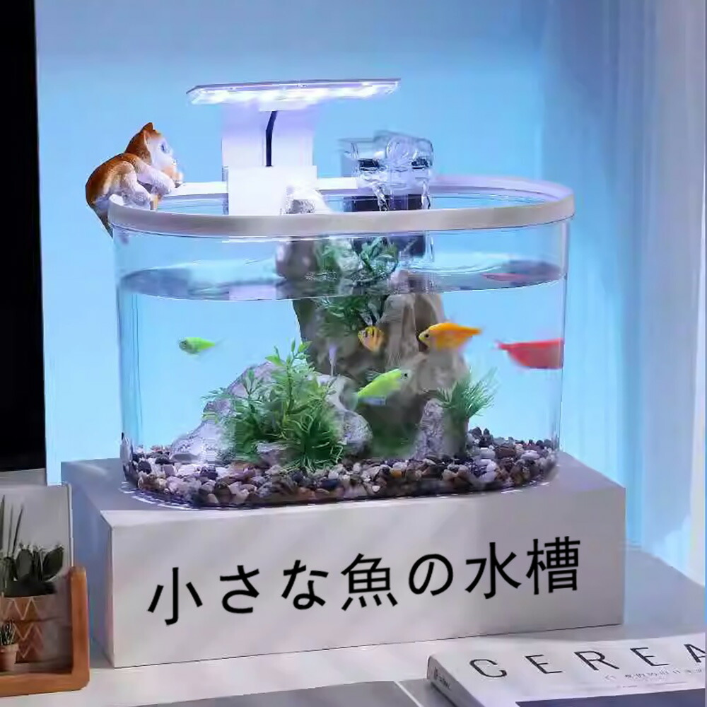 楽天市場】水槽 小型水槽 金魚鉢 アクアリウム水槽 卓上