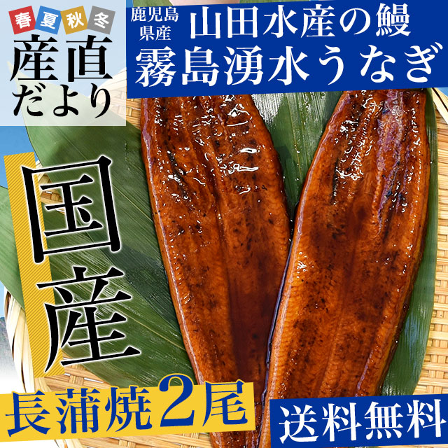 高価値】 鹿児島県志布志 山田水産 霧島湧水鰻のうな重 佐賀米夢しずく