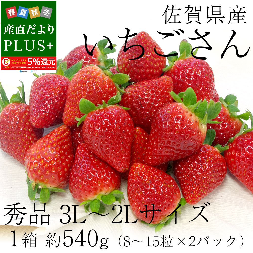 【楽天市場】佐賀県産 新 ブランド苺 いちごさん 秀品 3Lから2Lサイズ 1箱 約540g (270g×2パック） 送料無料 イチゴ：産直