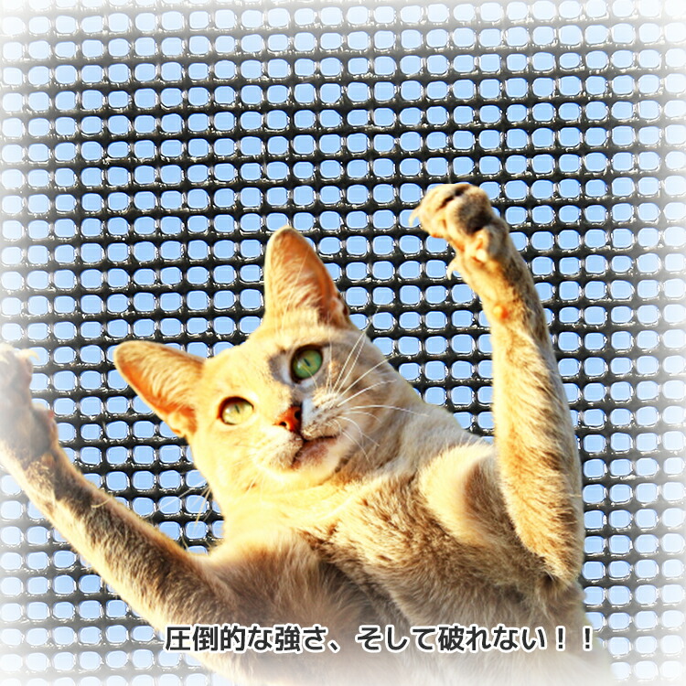 網戸 ネット 防虫網 ペットフレンズネット 長さ30m巻 幅1010mm 20