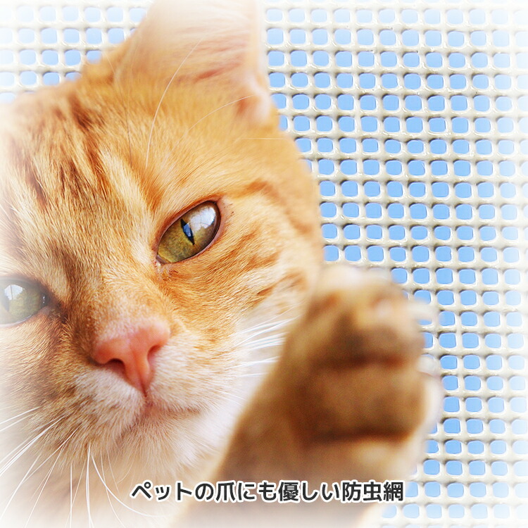 網戸 ネット 防虫網 ペットフレンズネット 長さ30m巻 幅1010mm 20 