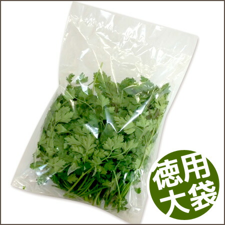 楽天市場】乾燥パセリ（イタリアンパセリ） 50g 【送料無料】【メール