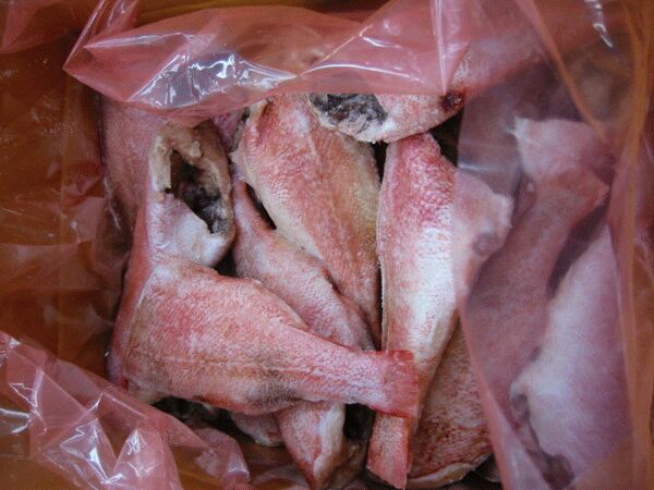 赤魚 (あかうお) ドレス 5kg (約25～35尾前後)