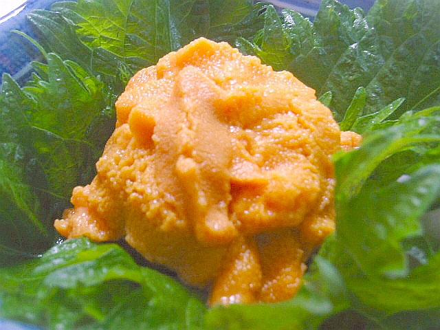 味最高 北海道加工 鮮度抜群 生雲丹（生うに）約８０～９０ｇ