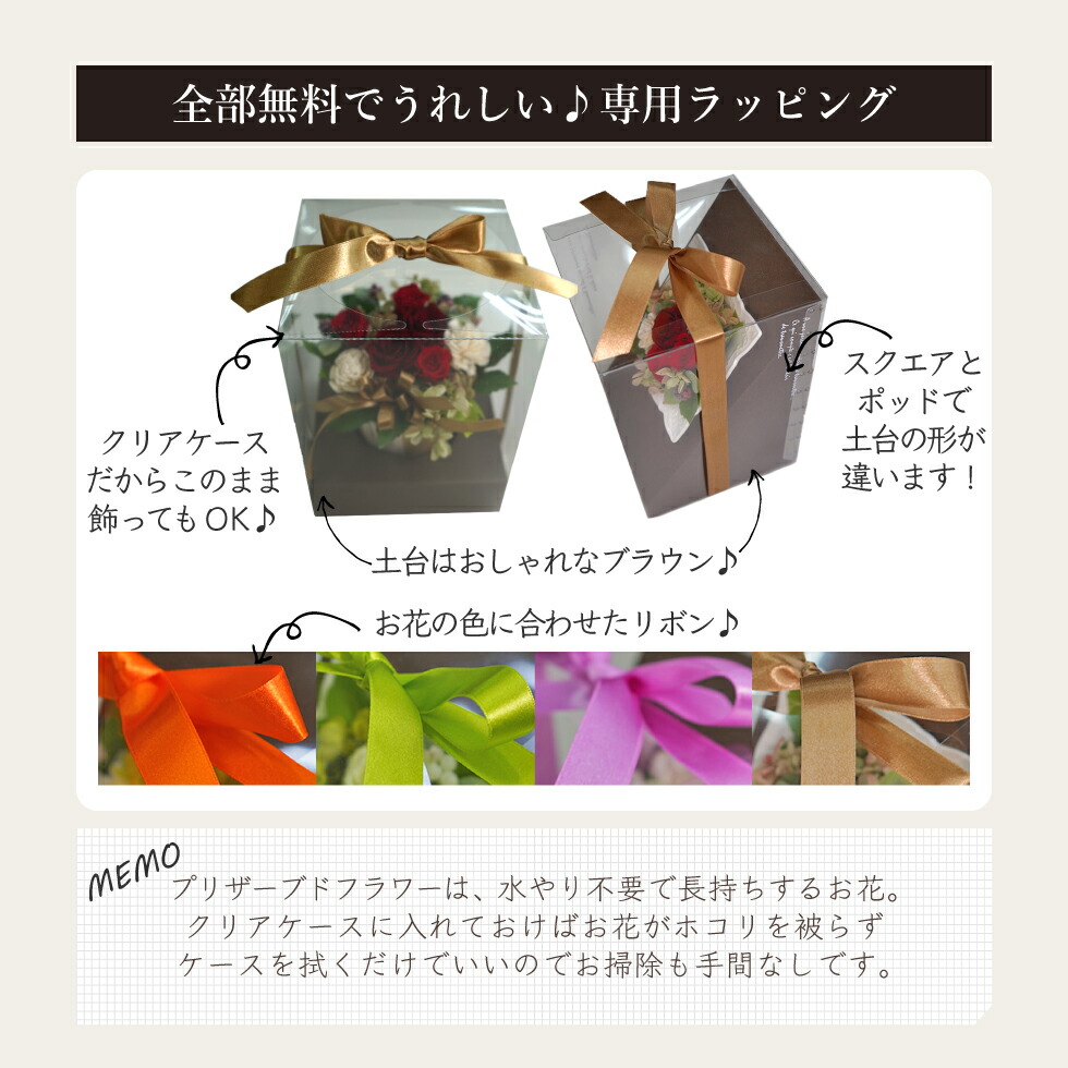 プリザーブドフラワー+スターバックスプレミアムミックスコーヒーセットフラワーポッド(グリーン)送料無料(北海道・沖縄を除く)【カード/ビニール袋添付可】【熨斗/包装紙選択不可】HAREPB_