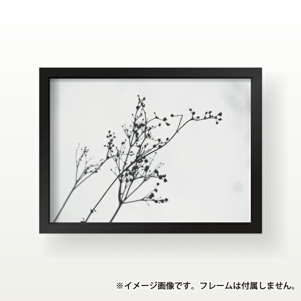 木枯らし 冬 植物 おしゃれ 玄関 雑貨 一人暮らし おうち時間 北欧 インテリア アート ポスター A1大いさ 大きい achc Org