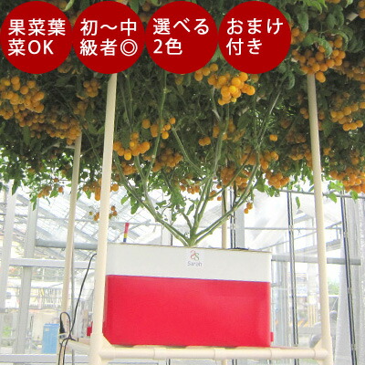 ホームハイポニカ Sarah サラプラス 水耕栽培 ガーデニング 農業 ハーブ栽培キット バジル 野菜 葉菜 パクチー 両用 キット おまけ付 果菜 おしゃれ キット リーフレタス シンプル 家庭菜園 簡単 セット 節約 食育 ポット 水耕栽培器 液肥 駅他肥料 野菜 種 スポンジ