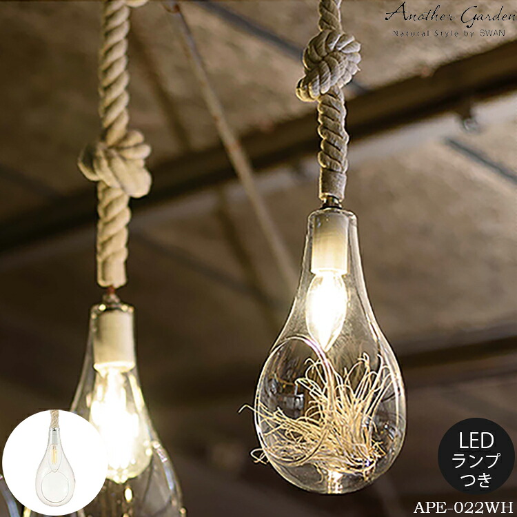 スワン電器 Another garden BOTANIC HANGING LIGHT ボタニックハンギングライト S ペンダントライト LED おしゃれ LED 西海岸 照明 植物 ロープソケット テラリウム 六本木クラス
