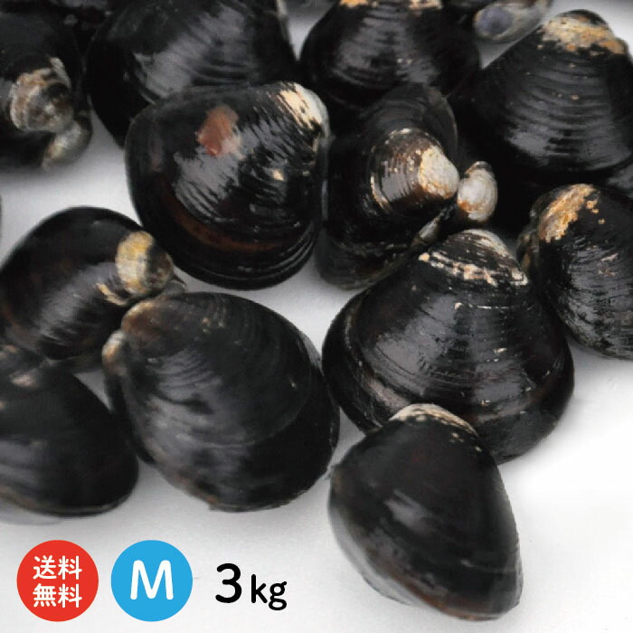 宍道湖産 砂抜き済 1kg×3袋 3キロ Mサイズ3kg 冷凍しじみ 十三湖に並ぶ日本有数の漁獲量を誇る島根県 宍道湖より産地直送 青森県 最安値  冷凍しじみ