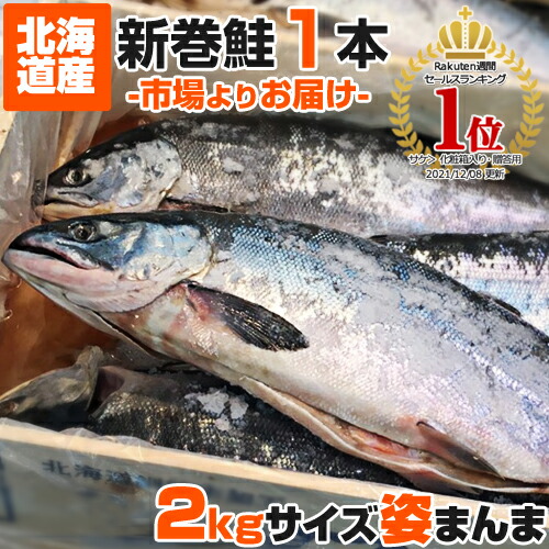 【 2.3円 ～ 3.0円 ／ g 】2kgサイズ 北海道産 新巻鮭 北海道産 1尾 | 新物 塩鮭 塩漬け 姿 鮭 北海道 一本もの シャケ しゃけ サケ さけ 産地直送 1本 ギフト 国産 内祝い お祝い 贈答品 贈り物 塩引鮭 塩引き鮭 秋ジャケ 贈答可 お取り寄せ お祝い品 白鮭 秋鮭