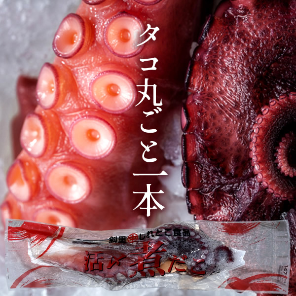 お刺身たこ足ボイル[800g～1kg]活〆タコ 特大 新鮮 北海道産 斜里町知床 蛸脚 煮だこ 北の大地 産地直送 お取り寄せ おすすめ［産直ギフト お祝い］
