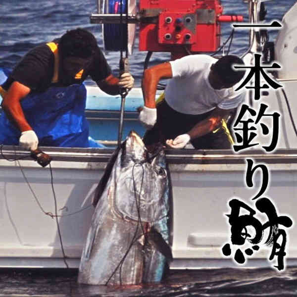 大間のマグロ 赤身 まぐろ 0g 2柵 本鮪 一本釣り 大間のまぐろ 黒マグロ 大間産 天然本マグロ