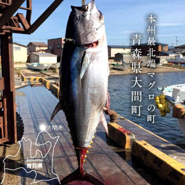 大間のマグロ 赤身 一本釣り 天然本マグロ 黒マグロ 0g 3柵 まぐろ 本鮪 大間のまぐろ 大間産