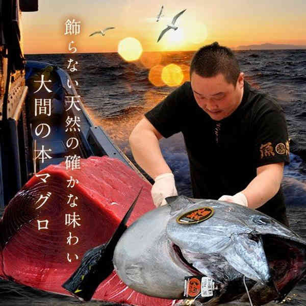 新品本物 大間のマグロ まぐろ 本鮪 黒マグロ 大間産 天然本マグロ 赤身 大トロセット 各0g 大間のまぐろ 一本釣り 生まぐろ トロ 刺身用 大間港直送 超低温 テレビ 解体 まぐろ漁師 おすすめ 産地直送 敬老の日 ギフト Nnprz Ru