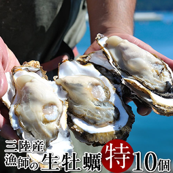 牡蠣 ブランドカキ［10個入］生牡蠣 殻付き 特大 夢牡蠣 生食用 生ガキ 大粒生牡蠣 特大 バーベキュー 鮮度抜群 お取り寄せ 東北 お土産 海鮮 海の幸［産直ギフト お祝い］