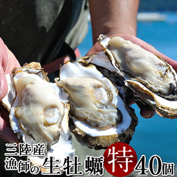 牡蠣 ブランドカキ［40個入］生牡蠣 殻付き 特大 夢牡蠣 生食用 生ガキ 大粒生牡蠣 特大 バーベキュー 鮮度抜群 お取り寄せ 東北 お土産 海鮮 海の幸［産直ギフト お祝い］