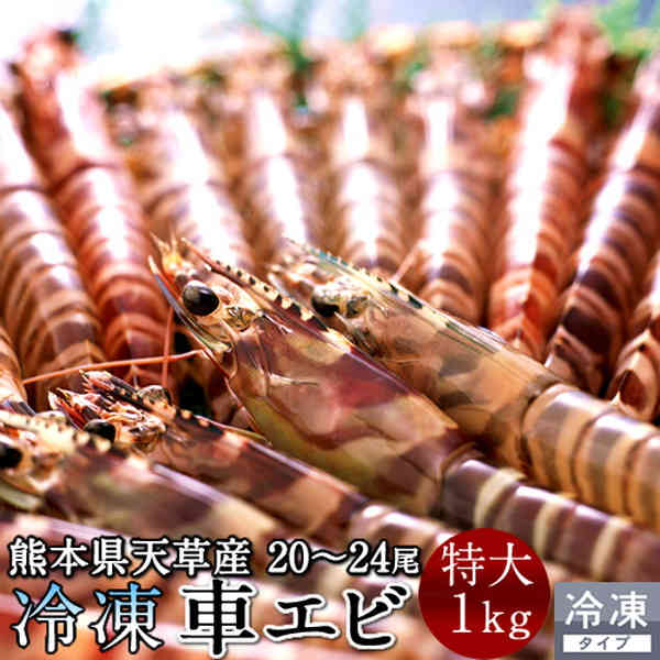 限定価格セール エビ おうち時間グルメ くるまえび 車海老 特大 活〆冷凍 天草 車えび くるまえび 1kg 熊本県天草産 活締めクルマエビ 刺身用 焼きえび ステーキ バーベキューbbq 人気食材 急速冷凍 養殖場直送 送料無料 母の日 ギフト 売り切れ必至 限定価格セール エビ おうち時間グルメ くるまえび 車海老 特大 活〆冷凍 天草 車えび くるまえび 1kg 熊本県天草産 活締めクルマエビ 刺身用 焼きえび ステーキ バーベキューbbq 人気食材 急速冷凍 養殖場直送 送料無料 母の日 ギフト 売り切れ必至