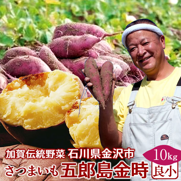 さつまいも 五郎島金時 10kg 良 小 訳あり 不揃い 石川県産 金沢市 加賀野菜 ブランド さつま芋 高級 生いも 加賀百万石 伝統 秋野菜 送料無料 敬老の日 ギフト Gamerzos Com