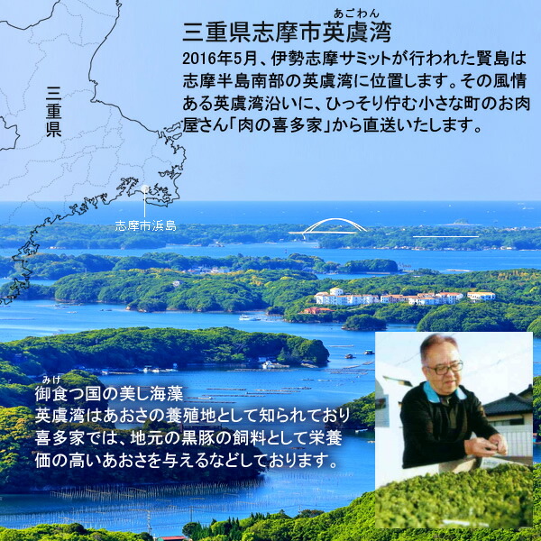 60%OFF!】 松阪牛 焼肉セット 600g 肩ロースモモ肉 特選A5 三重県 松阪市 特産 牛肉 まつさかうし 松坂牛 お取り寄せ おすすめ  ブランド 焼き肉 ランキング 産地直送 送料無料対応 プレゼント グルメ 敬老の日 ギフト appelectric.co.il