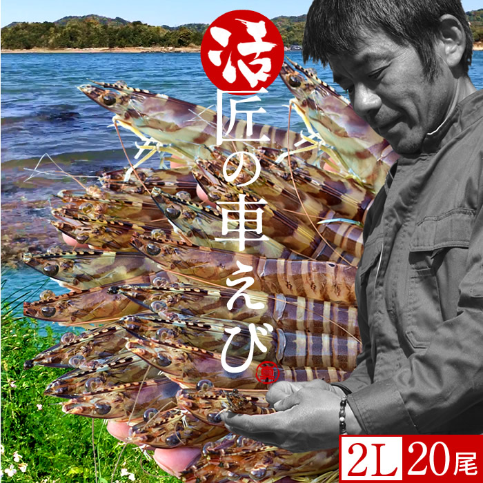 格安即決 楽天市場 エビ おうち時間グルメ くるまえび 車海老 特大 2l 活車えび 尾入 車エビ 生 クルマエビの本場 熊本県天草 養殖場直送 生き 活き車海老 おすすめ人気通販 産直 高級ギフト 匠の車えび 丸山えび 送料無料 母の日 ギフト 食コレ Japan