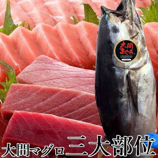 大間のマグロ 三大部位セット600g［赤身・中トロ・大トロ 各200g］まぐろ 本鮪 クロマグロ 大間産 本マグロ 大間のまぐろ 生まぐろ トロ 刺身用 大間港直送 まぐろ漁師 おすすめ 産地直送［父の日 お中元ギフト］