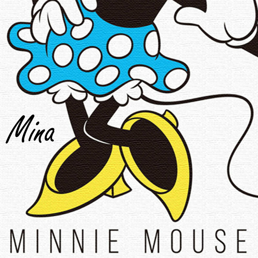 最適な材料 名入れ無料 ディズニー ミッキーミニーのファブリックパネル2枚セット 壁かけ インテリア ウェルカムボード 記念 ボード ディズニー ディズニー好き 部屋 玄関 フレーム 贈り物 プレゼント ギフト 結婚祝い 彼女 祝 女性 誕生日 名前入り 結婚式 ボード